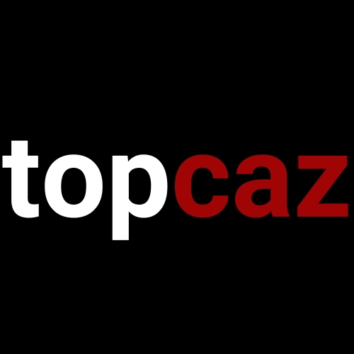 https://topcaz.com/all-slots/100-power-hot/